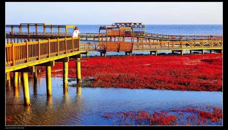 盘锦大洼旅游的地方,盘锦大洼野游