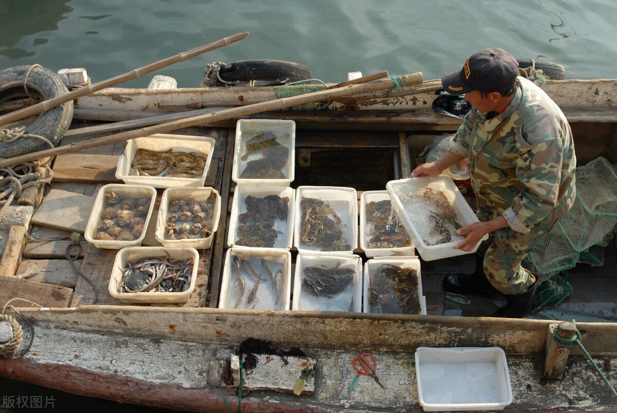 隔夜蟹为啥不能吃,隔夜螃蟹吃了死亡