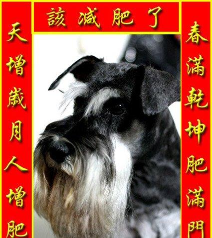 历史上最短对联两字,10个历史上的著名对联并赏析