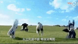 曾经对我造成过精神创伤,受过精神创伤对女人不感兴趣