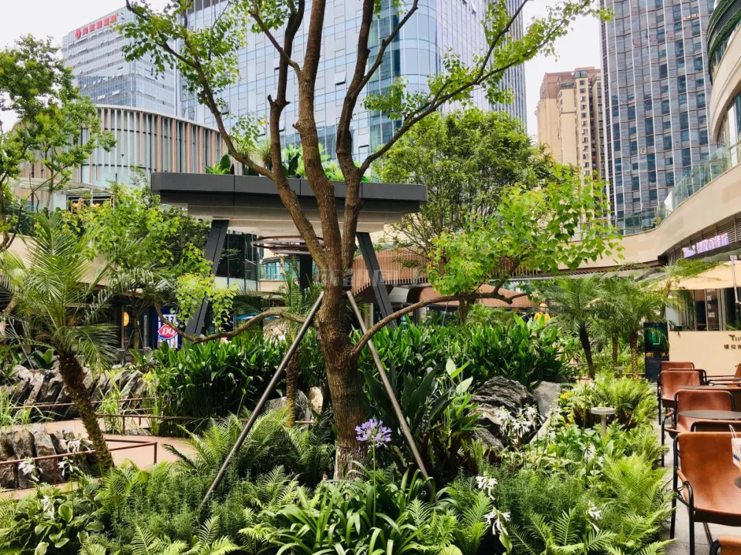 暴走重庆成都,重庆三大核心商圈