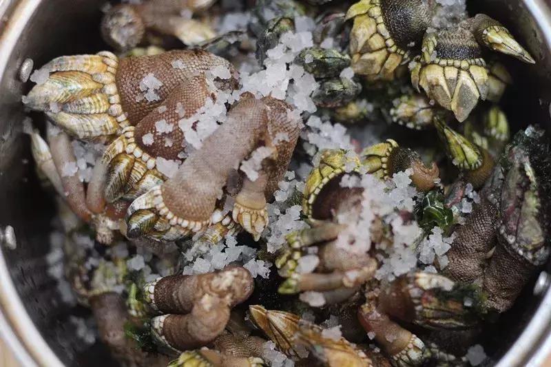 潮汕生腌海鲜一口吃完,潮汕生腌海鲜不是一般人能吃的