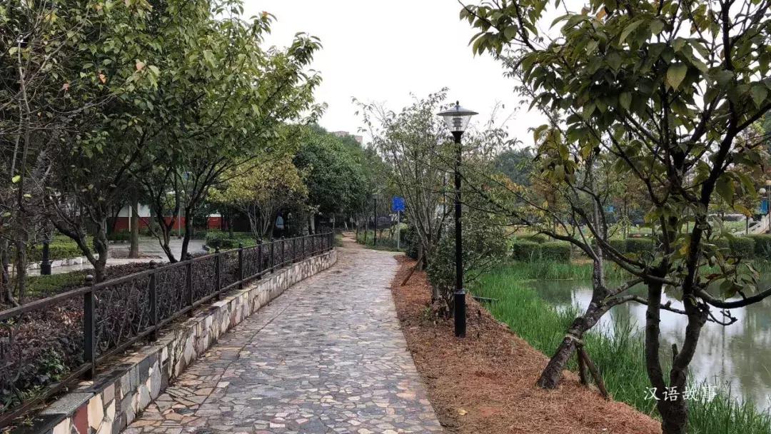 父亲是一个谜(中英对照)