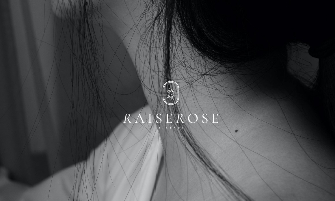 品牌标志形象设计作品,平面设计标志设计作品