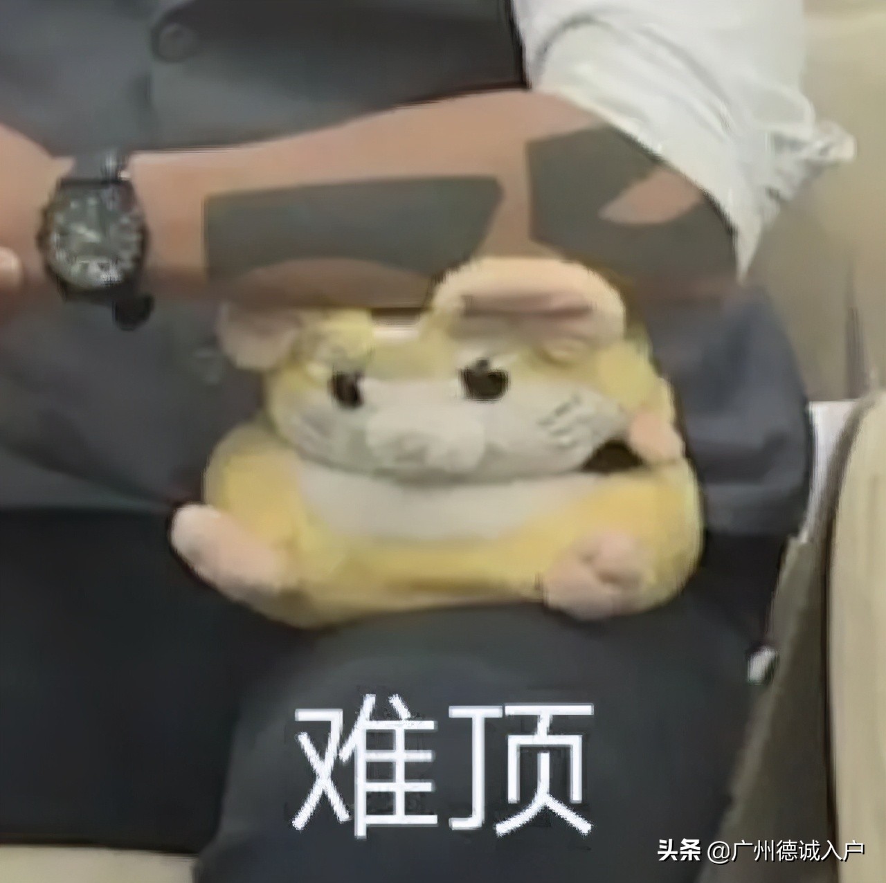 广州城中村租房最强攻略,广州租房最强攻略