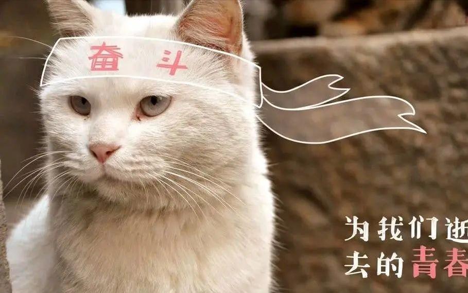 一招教你彻底祛斑,轻松祛斑先养肝