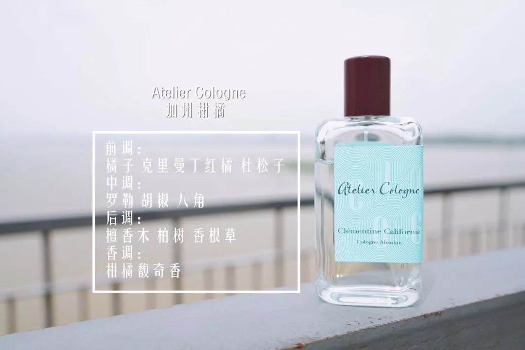 总有一款香水适合你各种香水分类,十大公认最好闻的香水香氛