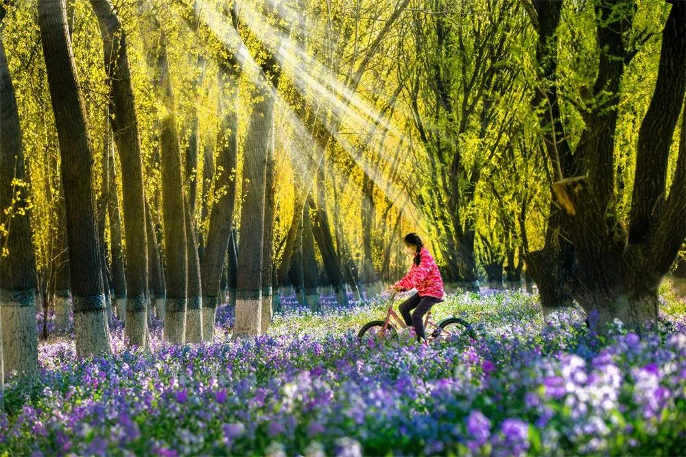 北京房山长阳商圈夜景航拍,北京市房山区航拍夜景