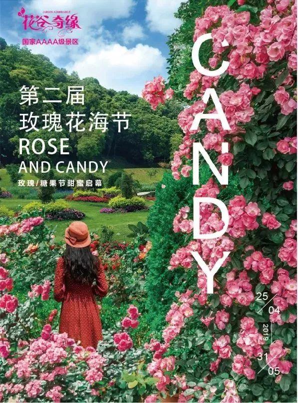 槽糕，是心动的感觉！这个神秘花谷正在悄然绽放！走，去拍照～