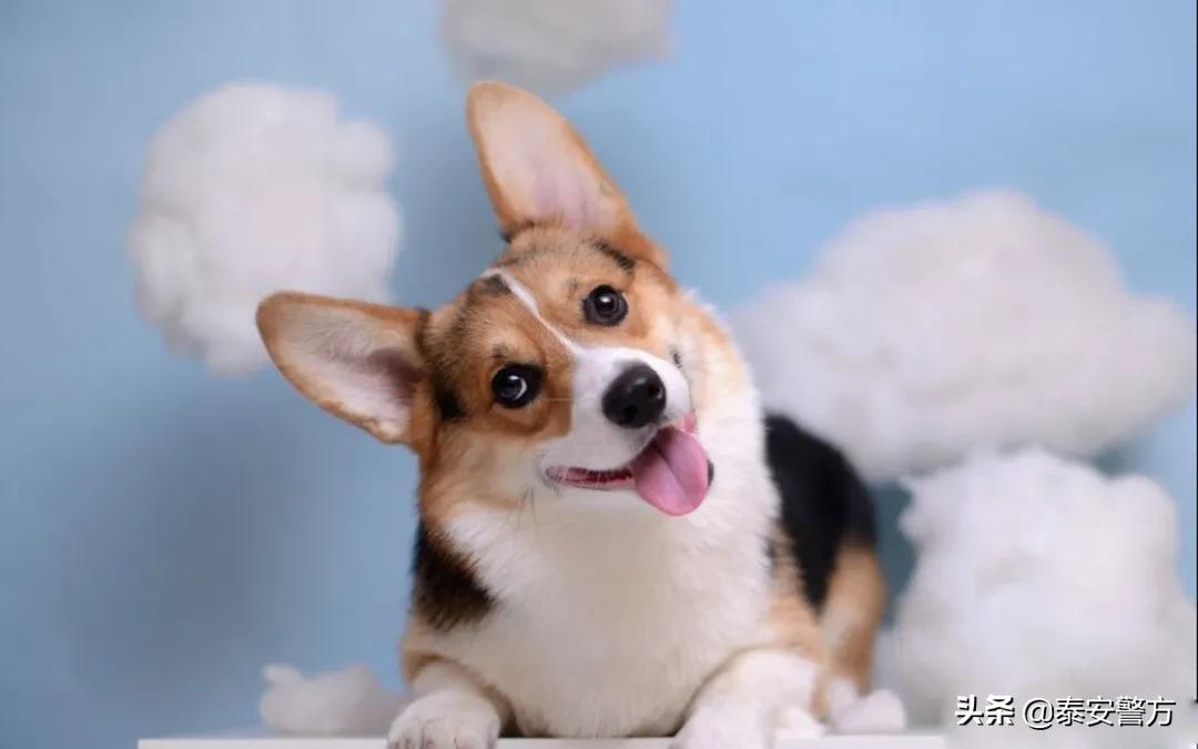 这两件事没有完成英语,房贷批下来之后抓紧去做这两件事