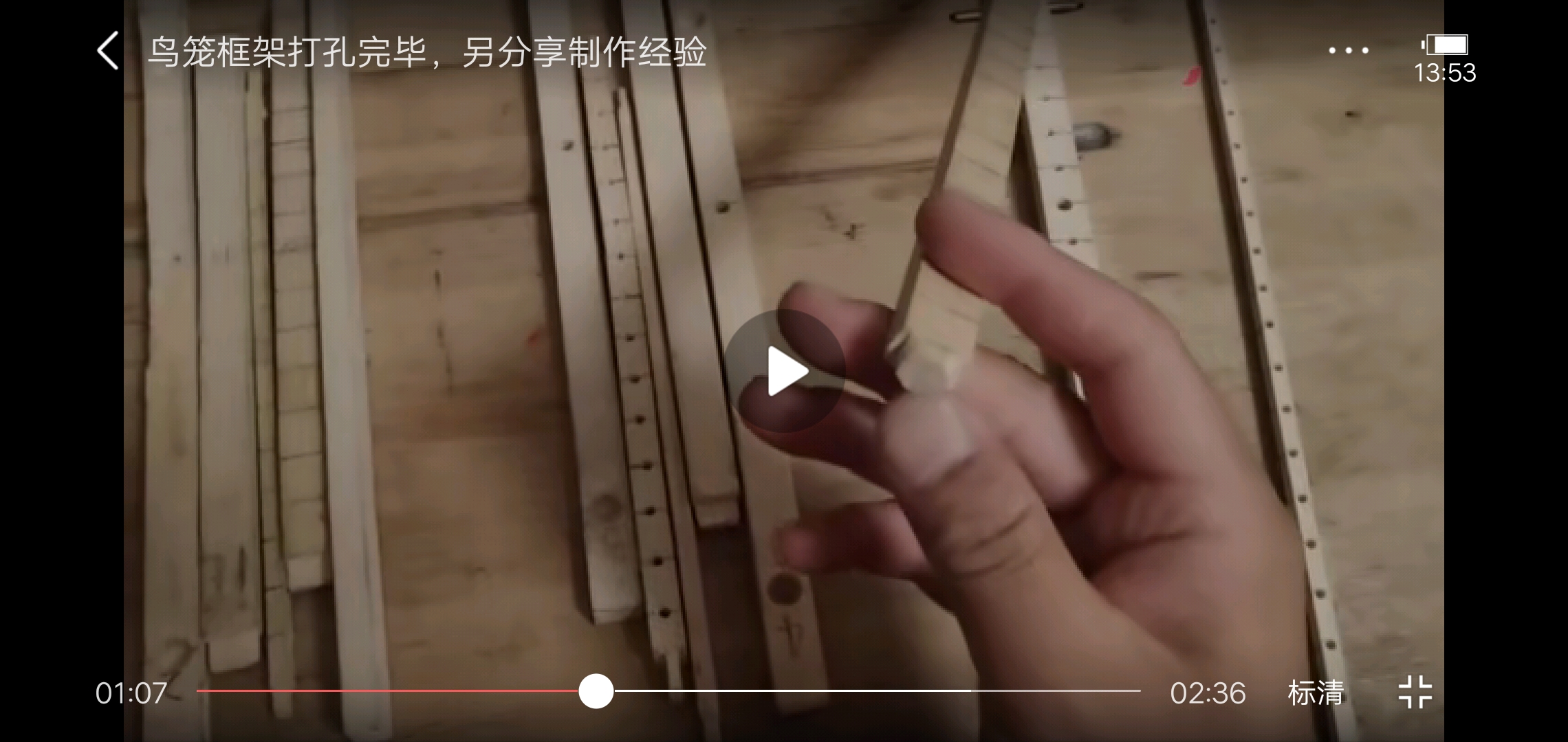 鸟笼制作,制作鹦鹉鸟笼