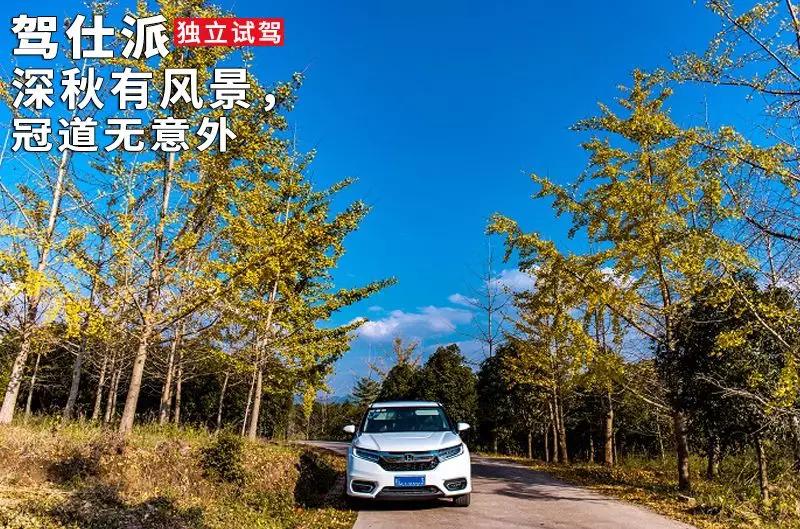 冠道奢华与实用的至臻suv之选,中型suv横评冠道