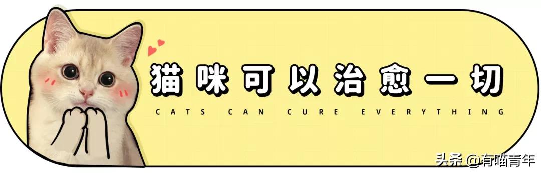 男子报警21岁喜当爹,男子喜当爹做了一件荒唐事