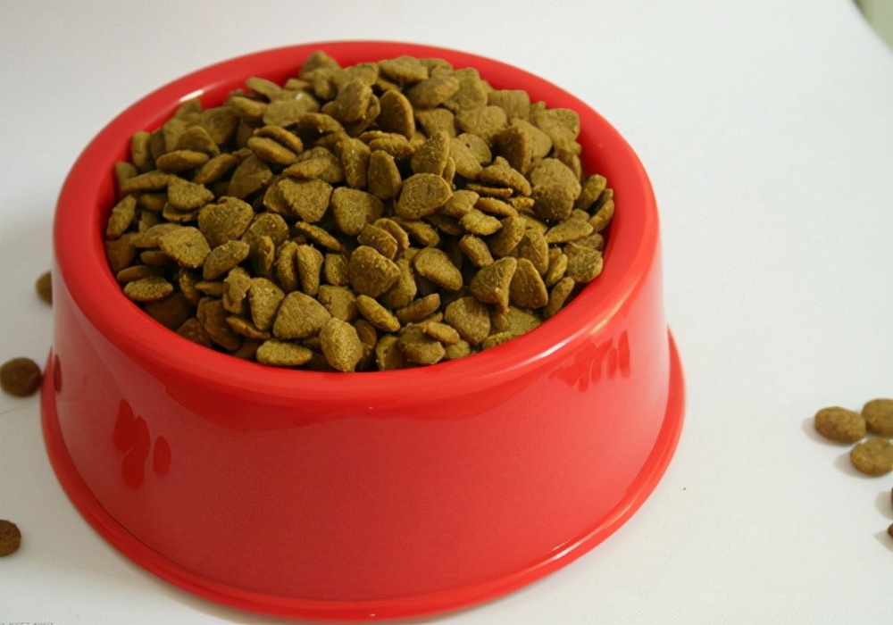 狗狗呕吐过后精神状态不好怎么办,狗狗频繁呕吐是什么原因怎么治疗