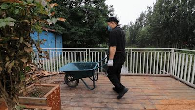 秦皇岛市中心的餐厅,这家藏在巷子里的店偷偷火了6年