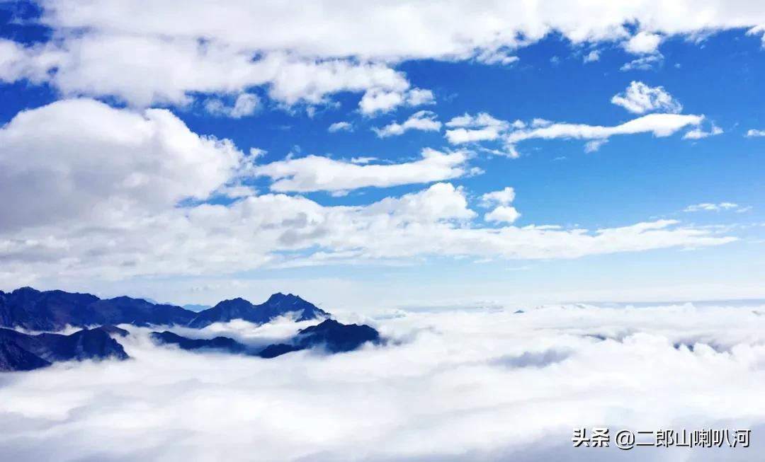 鎶婇鏅粰甯﹁蛋,鎶婂ス甯﹁蛋