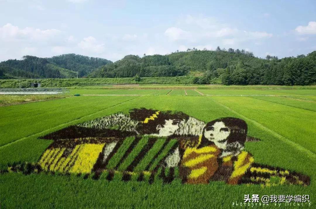 日本天价水果上热搜，苹果100元一个！中国老农却种出奶油富士