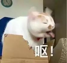 名门泽佳化妆品可靠吗,名门泽佳信得过吗