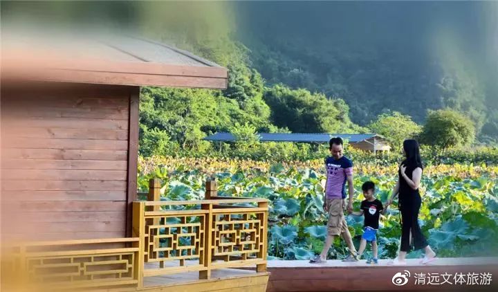 清远汤泉最好的民宿,清远最便宜的温泉民宿