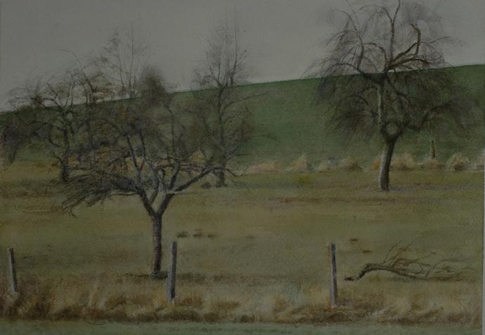 中国美院油画大赛获奖作品,上海美院教授油画作品欣赏