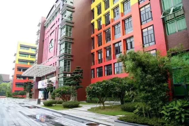 华附外国语学校好吗,华附双语国际学校怎么样