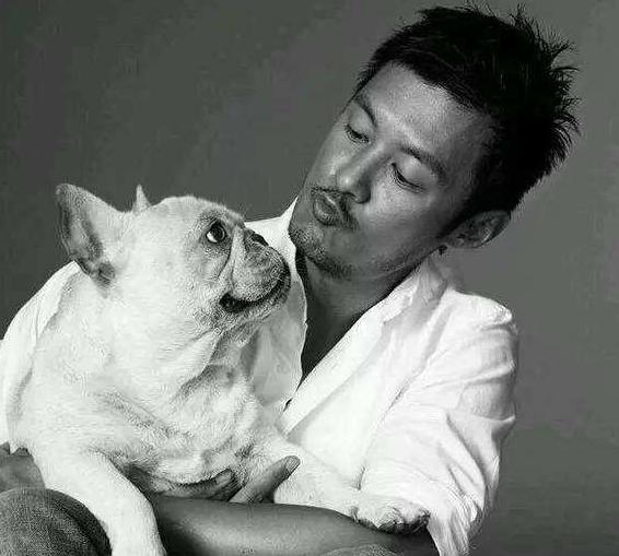 斗牛喜欢小刺猬,斗牛老是输是什么原因