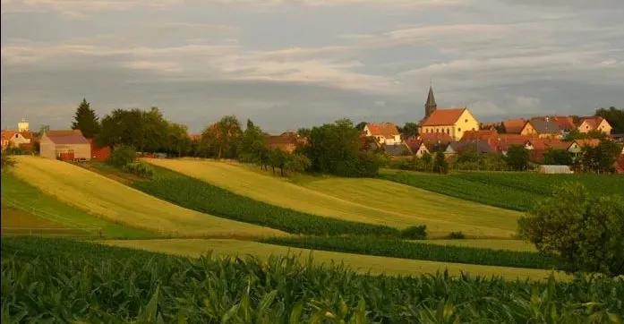 虫子咬了一口红肿疼,虫子咬了一大片红肿还发高烧