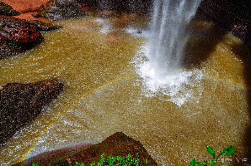 沐川竹海夏天美景,沐川竹海能避暑吗