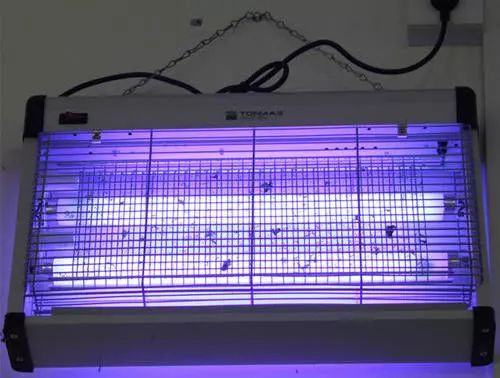 烧蚊香等于吸毒气?夏天总被蚊子咬!到底哪些灭蚊方式最靠谱