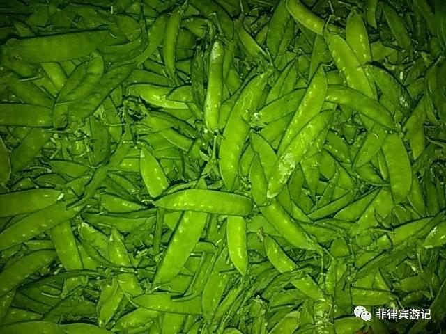 菲律宾青菜价格表,菲律宾蔬菜为什么那么贵