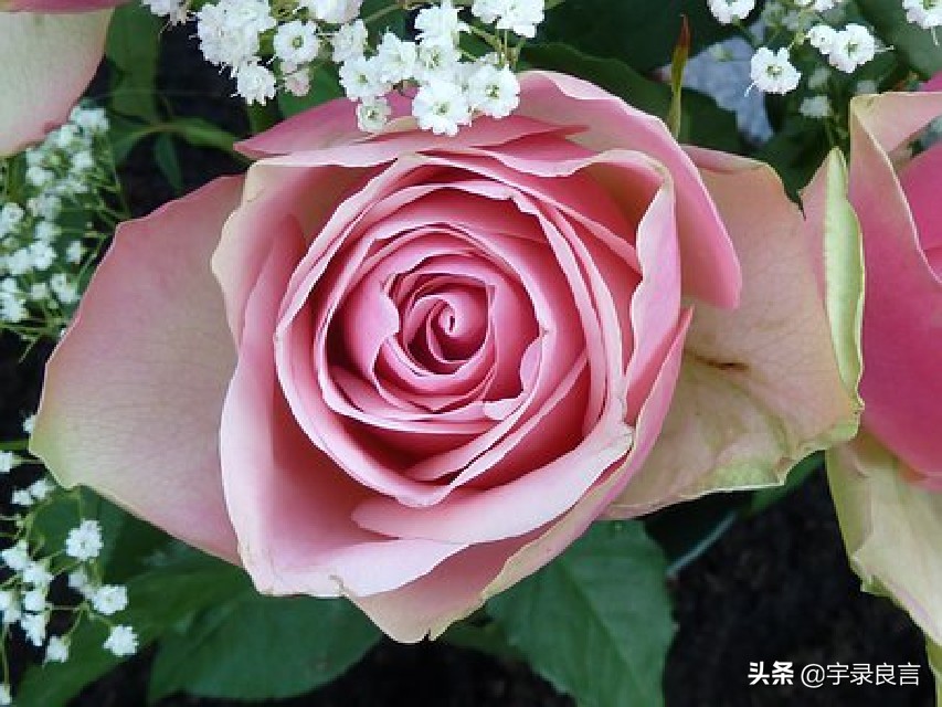 霸气个性签名女生高冷简短独特,霸气十足的个性签名短句女生