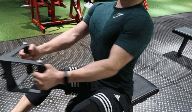 不练背先练动作,练背部的健身训练动作