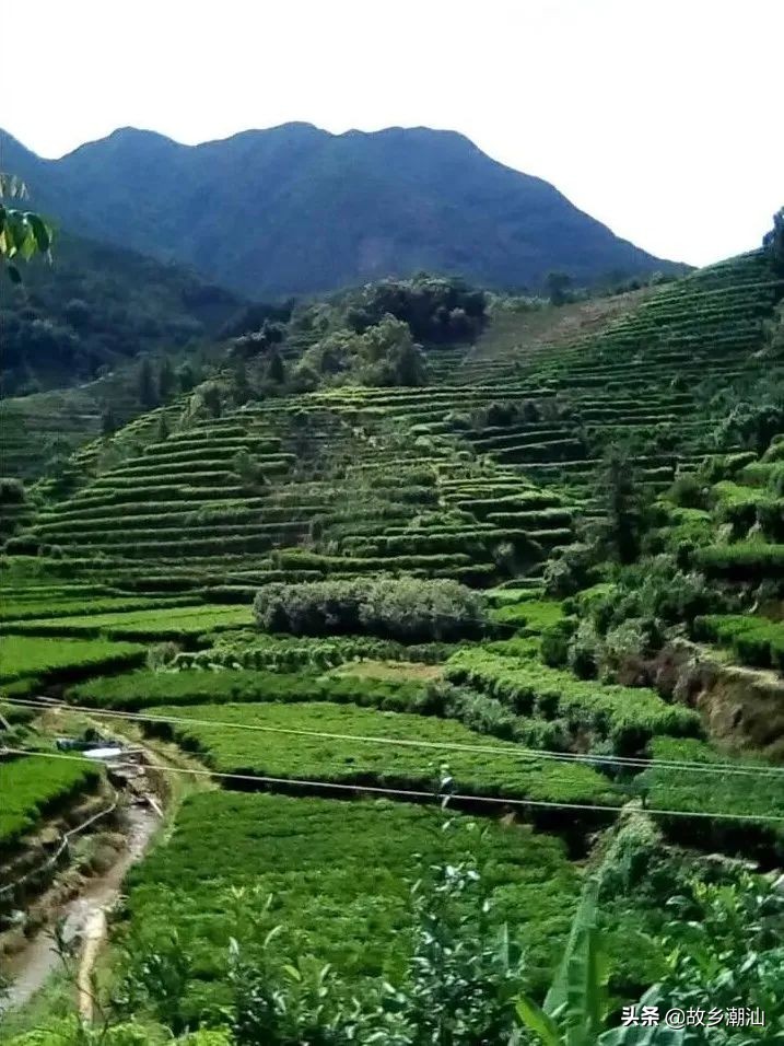 潮汕海山风情图片,饶平海山风情