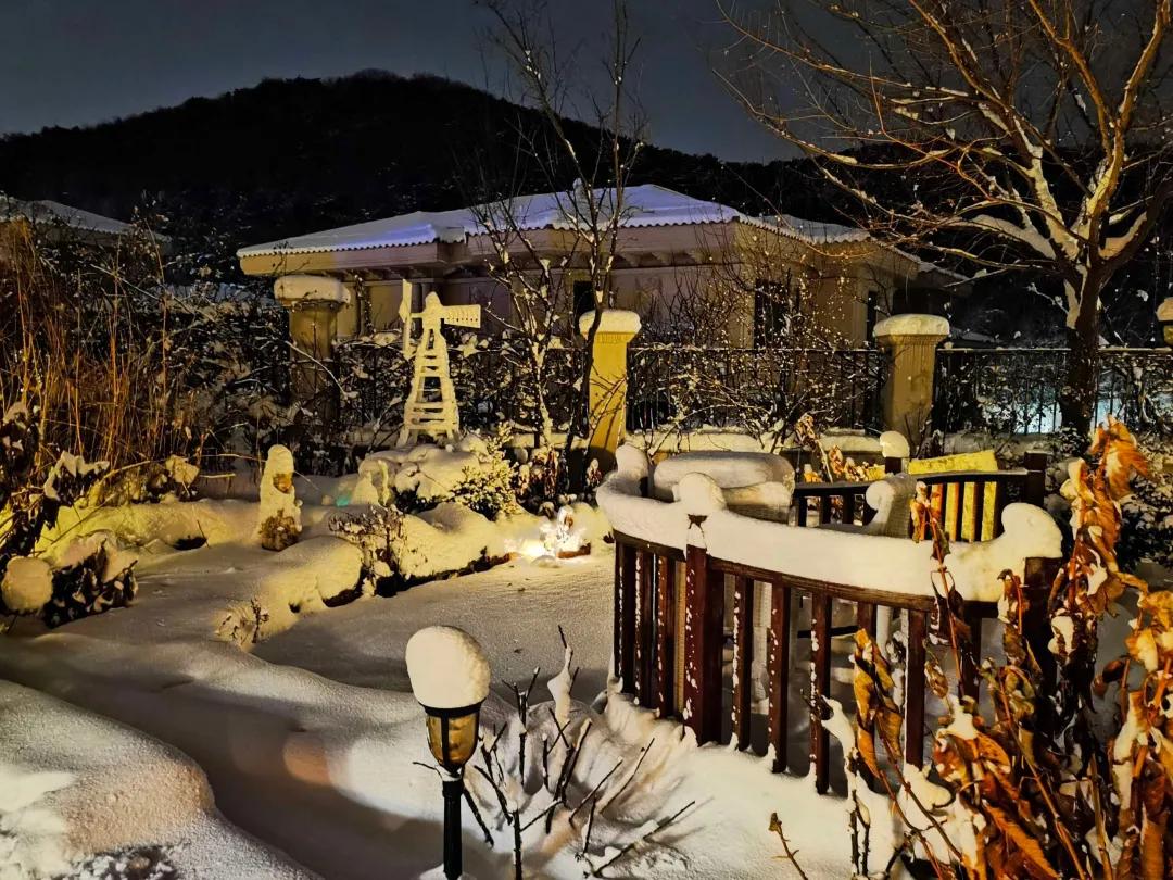 东北花园四季开花植物,北方一年四季都开花的花园