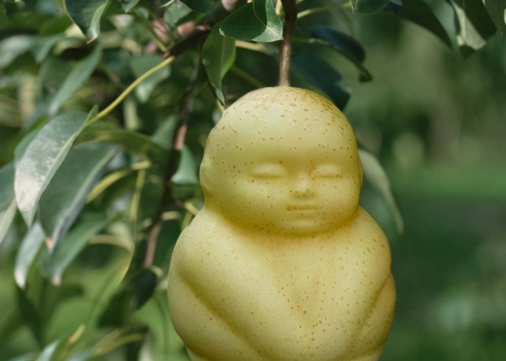 西游记里的人参果真的好吃吗,西游记人参果吃了会怎么样