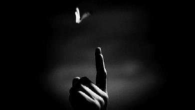 300个出自诗经的好成语,诗经100个经典成语