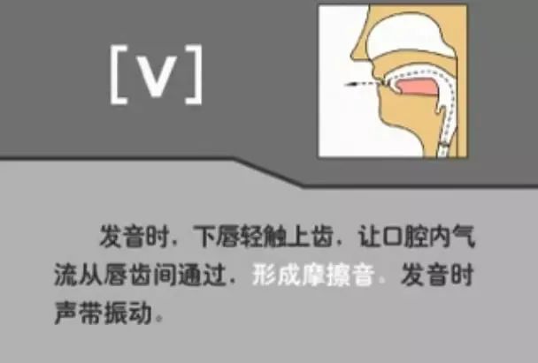 英语音标发音表48个音标正确读法,英语干货48个音标快速记忆法下