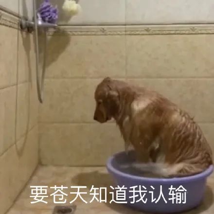 恐怖螃蟹,恐怖螃蟹视频