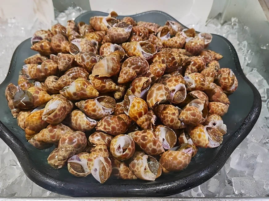 佛山南海华美达酒店标间价格,佛山华美达酒店自助