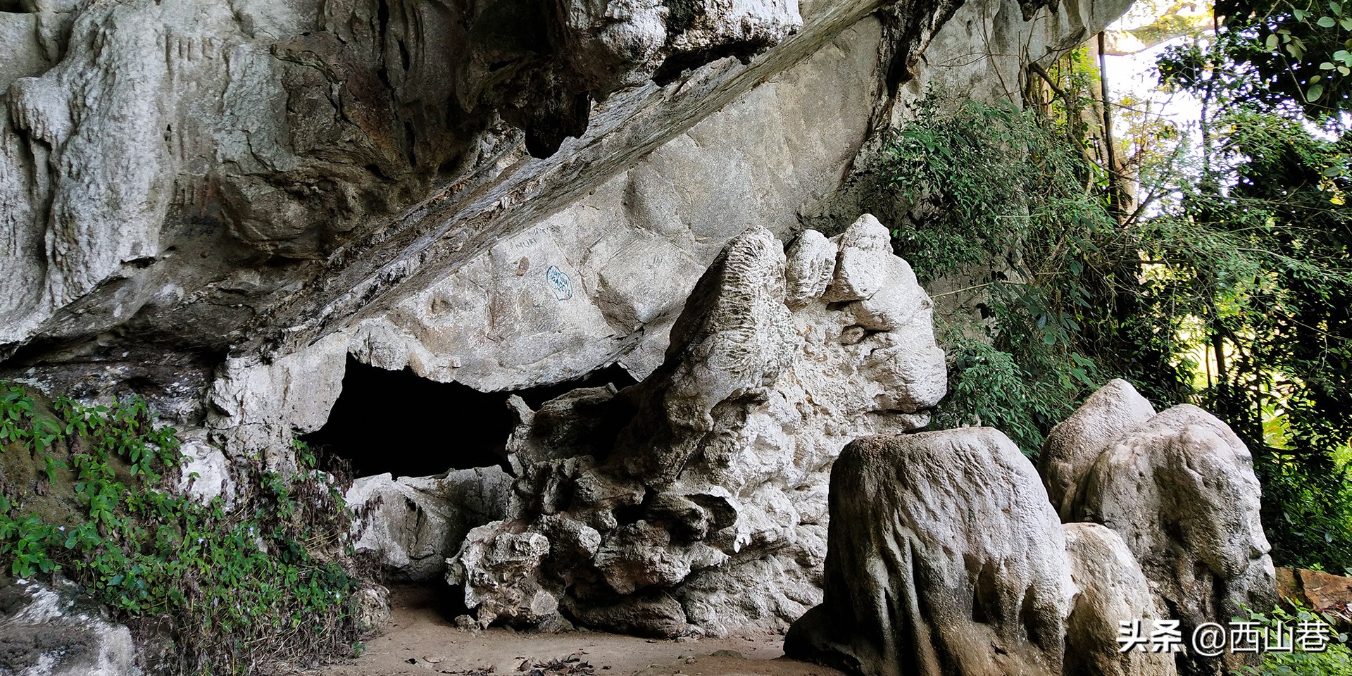 去马来西亚猫山王产地旅游,马来西亚猫山王