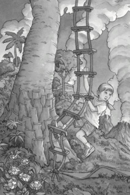 神奇树屋奥巴马,奥巴马书籍