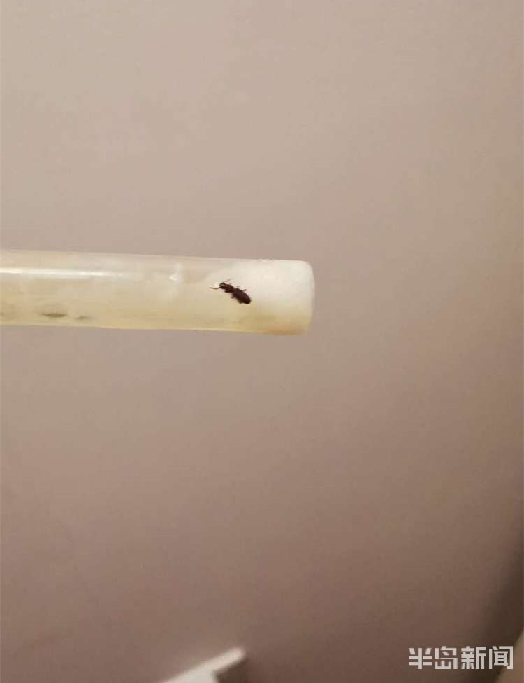 诺优能奶粉有虫子,青岛产的诺优能奶粉