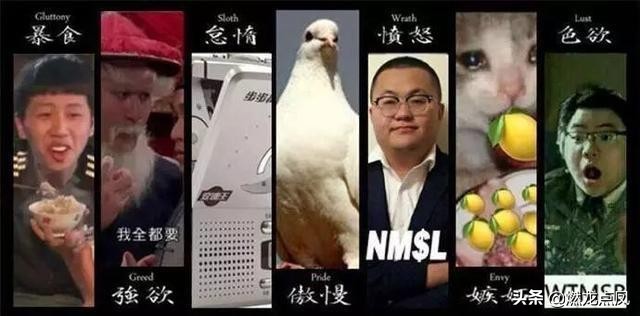 爆火熊猫人表情包图片,爆火表情包熊猫