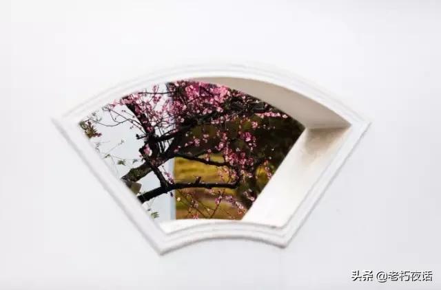 怪体诗的形式有哪些,那些奇葩诗人