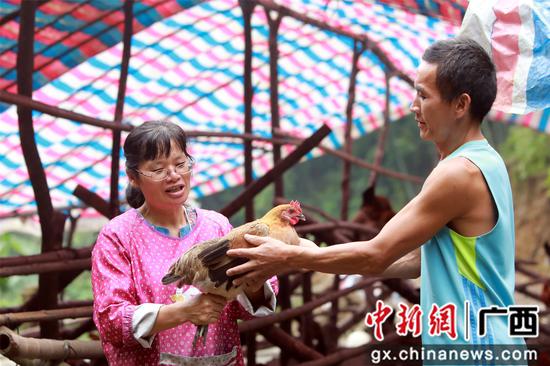 融安县脱贫名单,摘掉了贫困帽