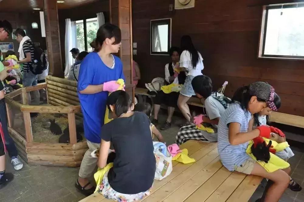 日本农场营收10亿经营秘诀,日本妈妈牧场怎么运营