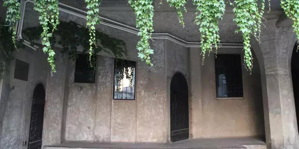 眼前一亮！6月的虹口，原来有那么多美翻了的拍照打卡地！