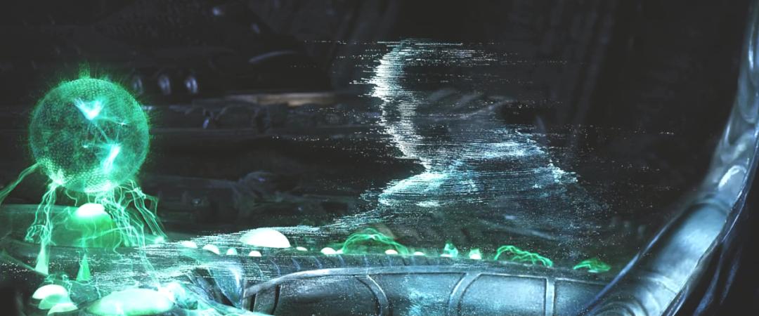 异形到底有多少种形态,异形到底存在吗