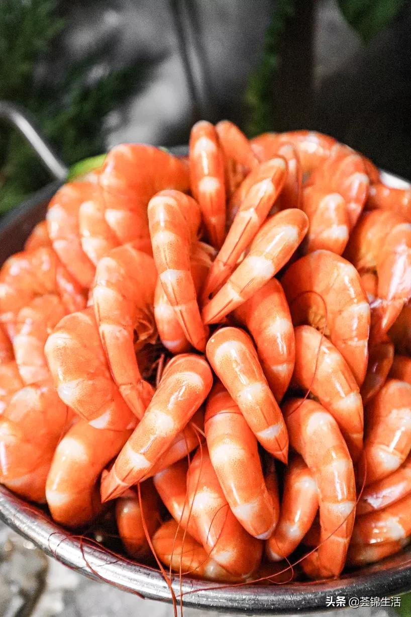 閲戠锜圭ぜ浼樻儬,閲戠锜圭ぜ鐏垎棰勫畾