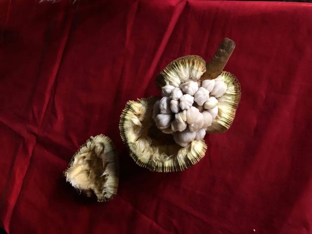 出不了门的心情,出不了门的日子让人心绪难平